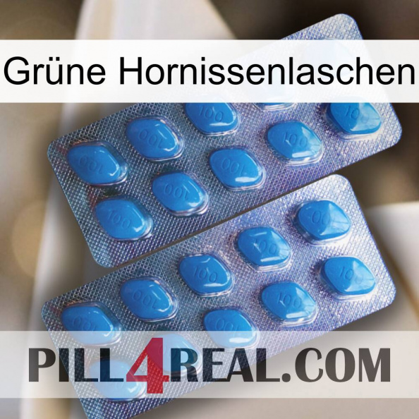 Grüne Hornissenlaschen viagra2